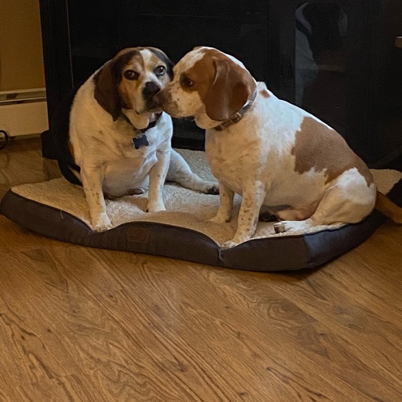 I’m Live!!! Come hang out!!! - Picture 4 of 5